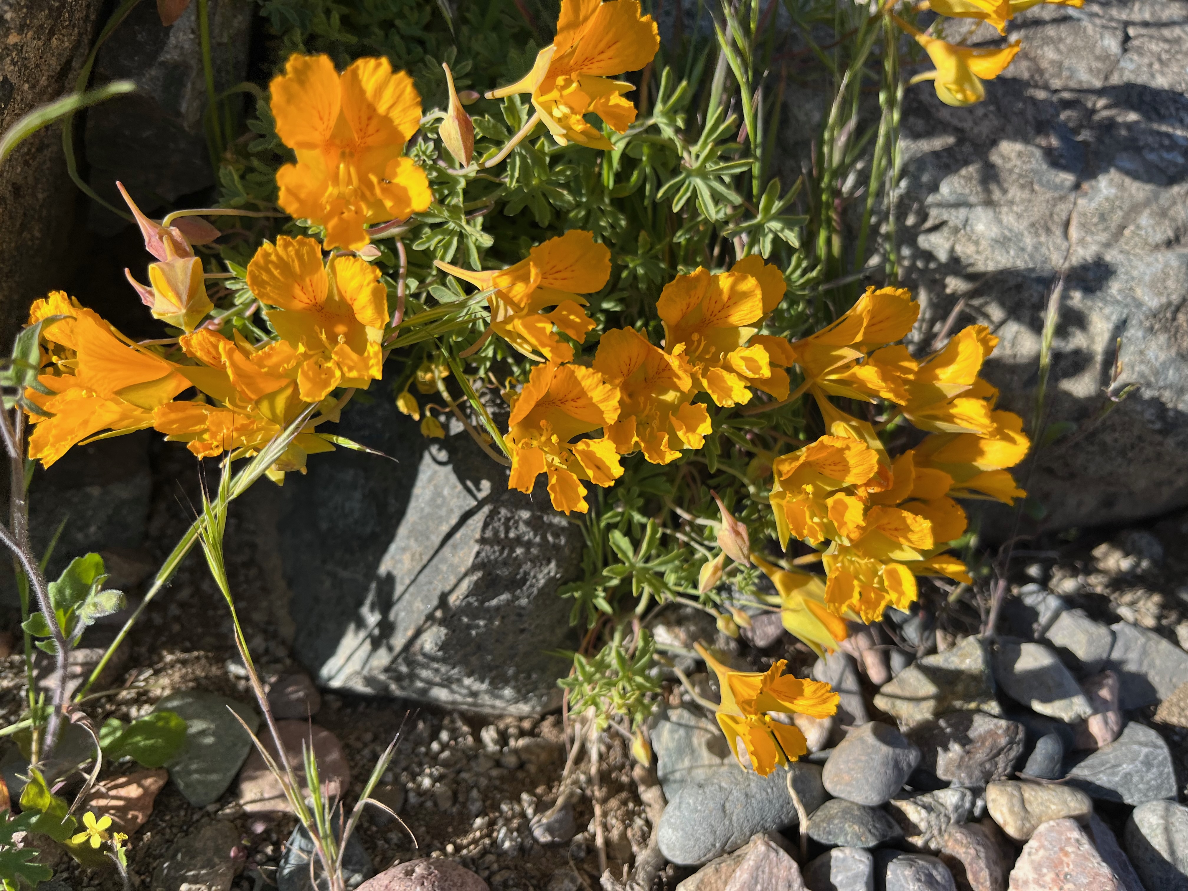 About gallery image 5